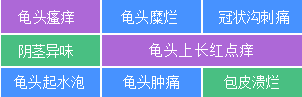 尿道